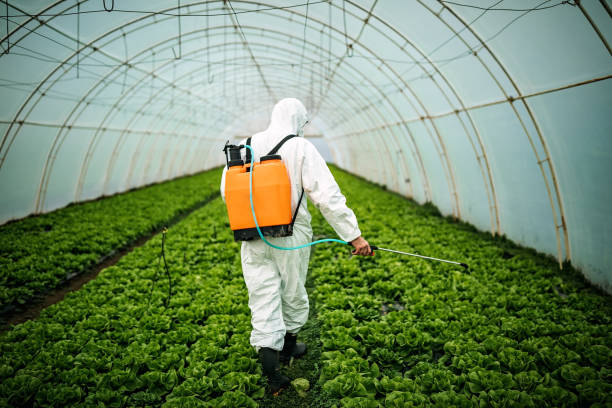 Best Affordable Pest Control Services  in Covgton, IN
