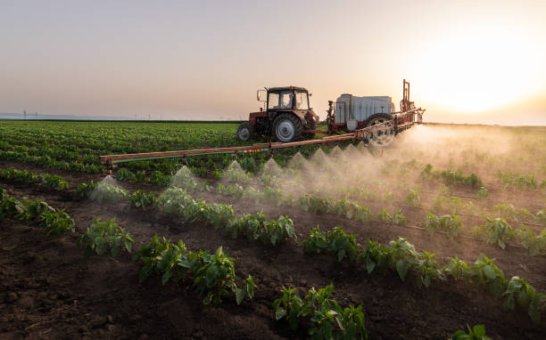 Reliable Covington, IN Pest Control Solutions