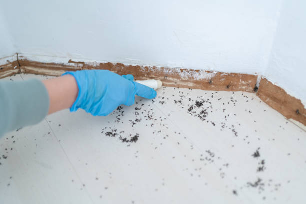 Pest Prevention Services in Covington, IN